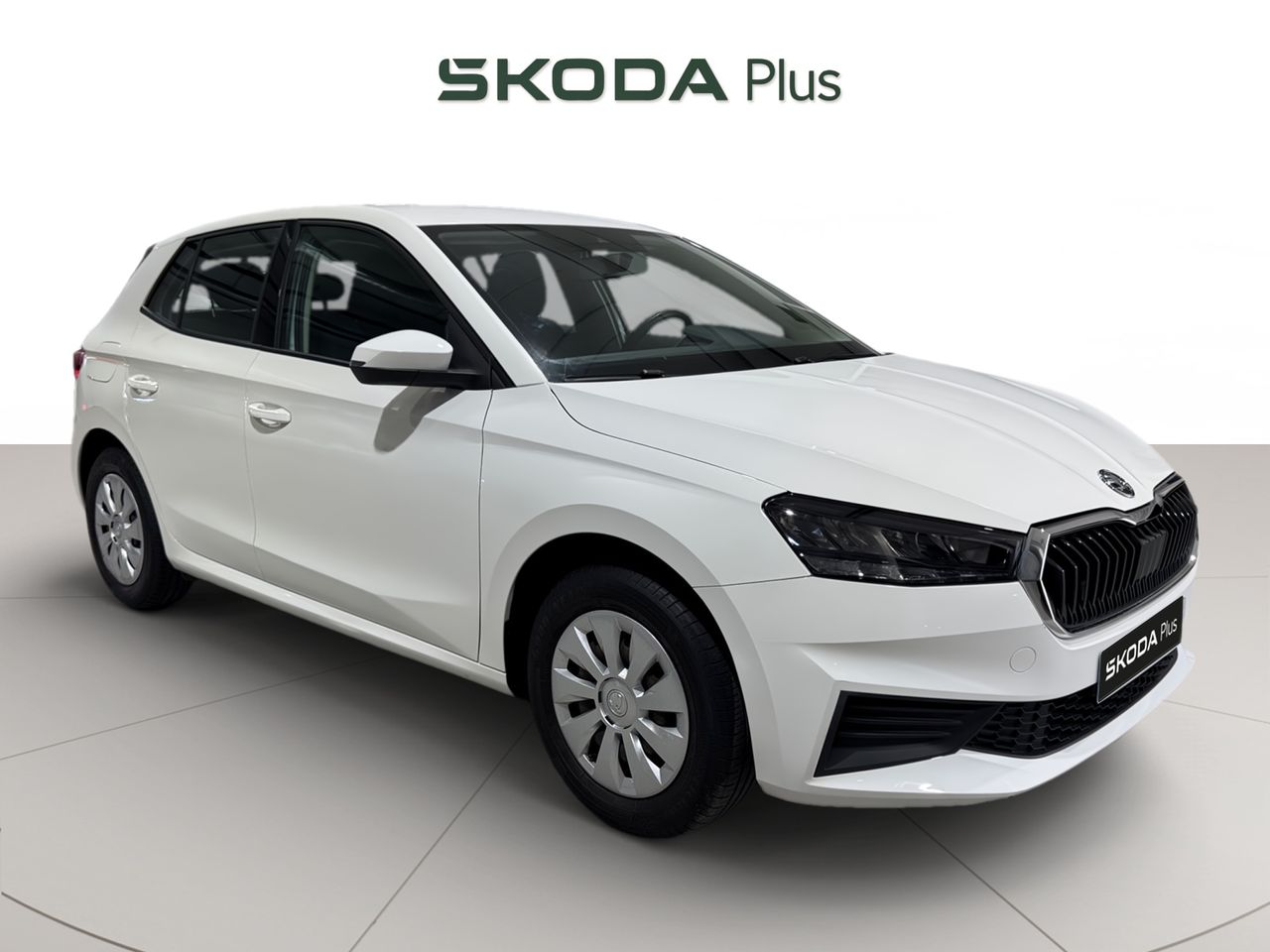 Brugt Škoda Fabia 1.0