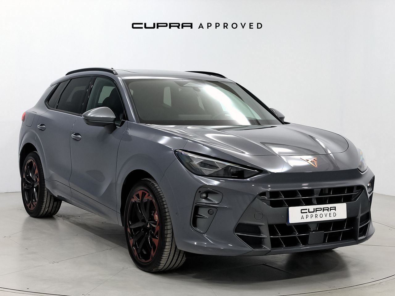 Brugt Cupra Terramar 2.0 TSI