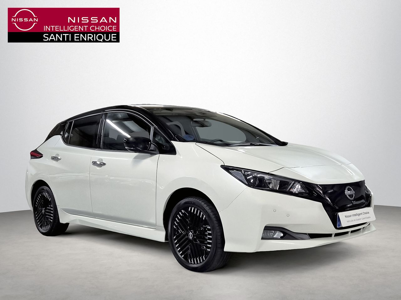 Brugt Nissan Leaf electro