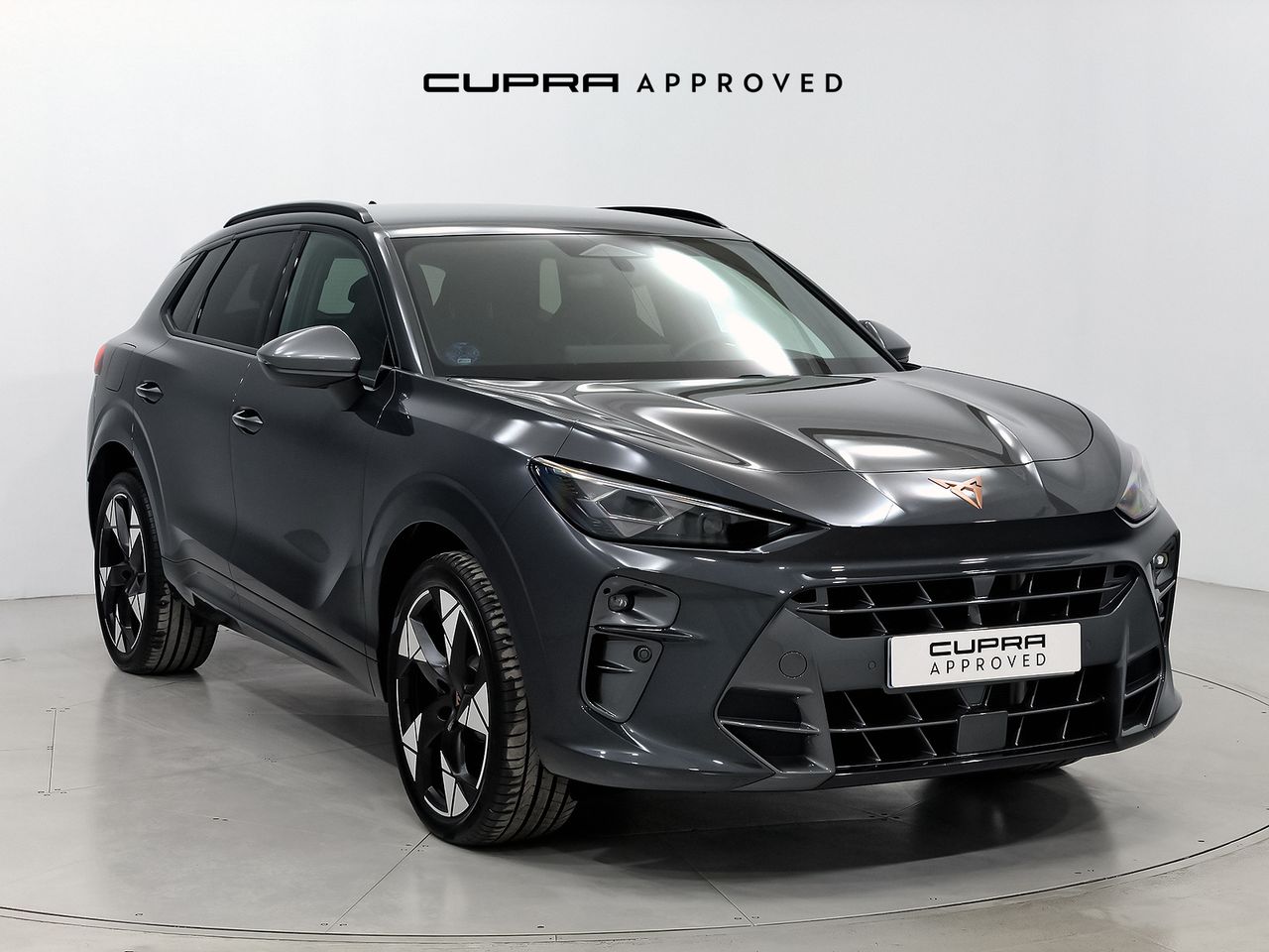 Brugt Cupra Terramar 1.5 tsi