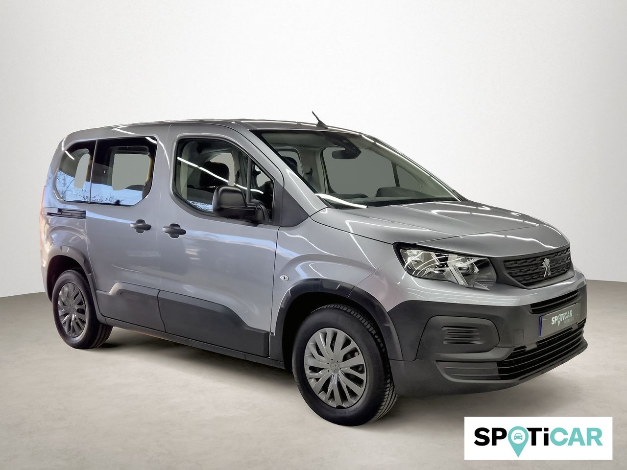 Brugt Peugeot Riffter 