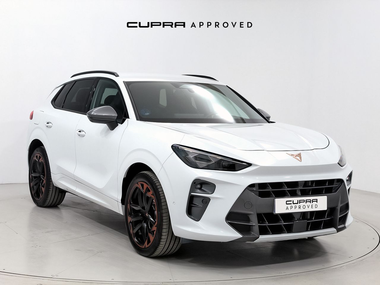 Brugt Cupra Terramar 1.5 tsi