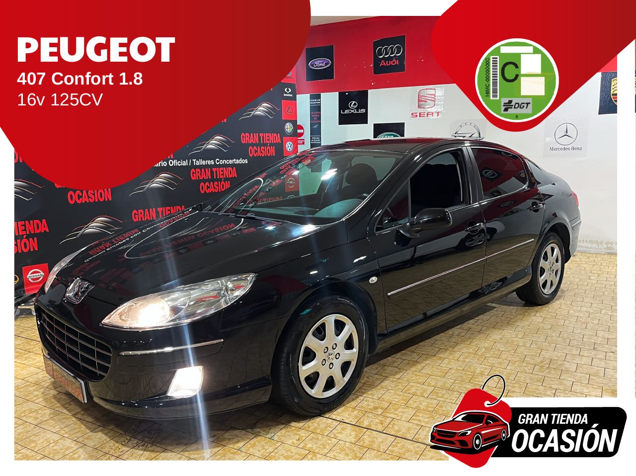 peugeot 407 2009 /