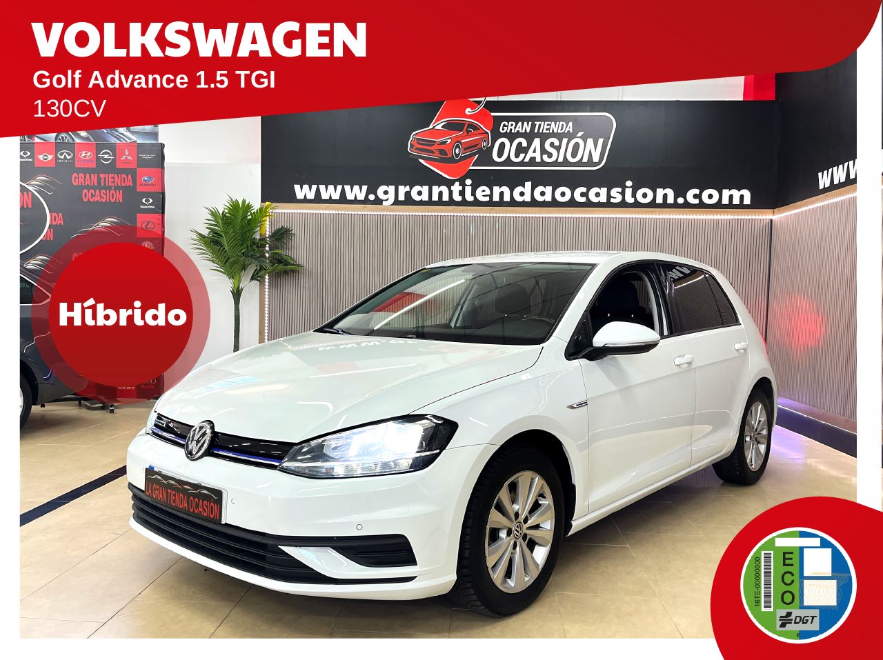 Foto volkswagen golf 2019 /