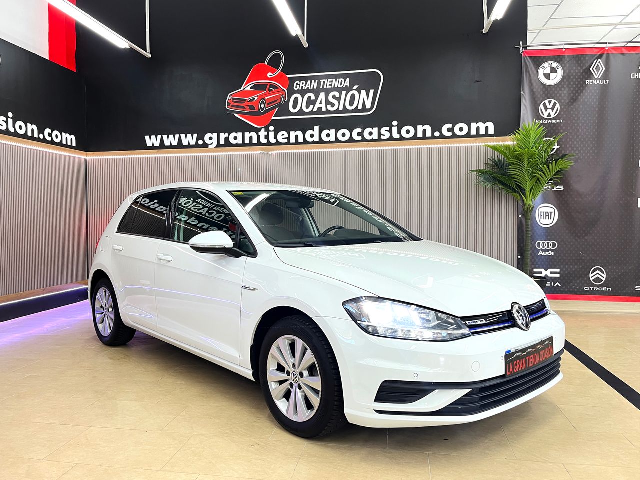 volkswagen golf 2019 / foto grande (3)