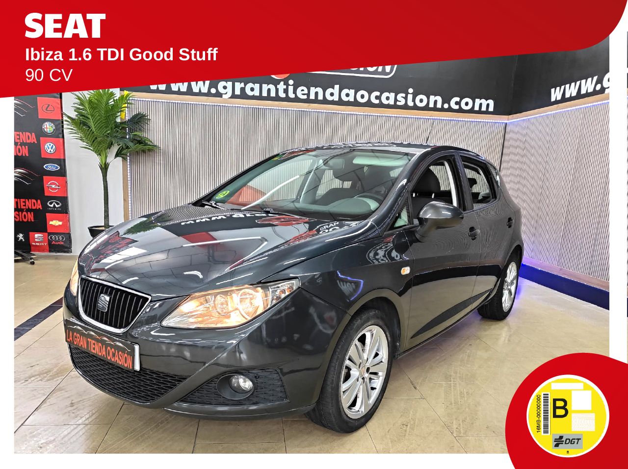 Foto seat ibiza 2010 /