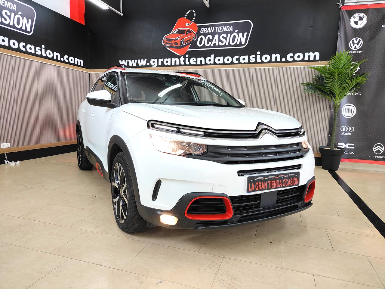 citroën c5 aircross 2019 / foto grande (3)