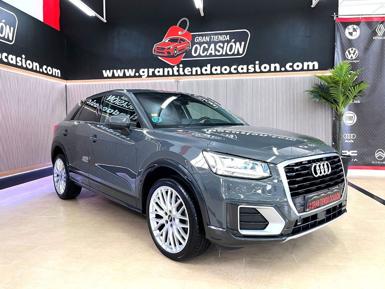 audi q2 2018 / foto grande (3)