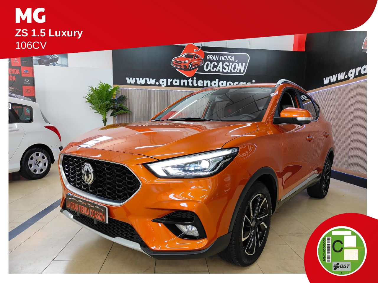 Foto mg zs 2022 /
