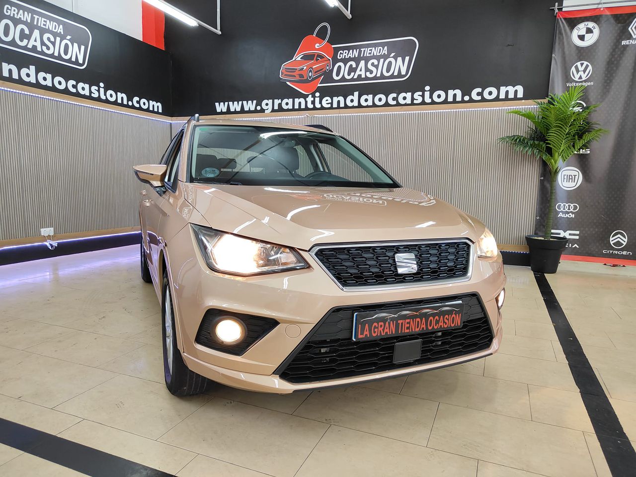 seat arona 2019 / foto grande (3)