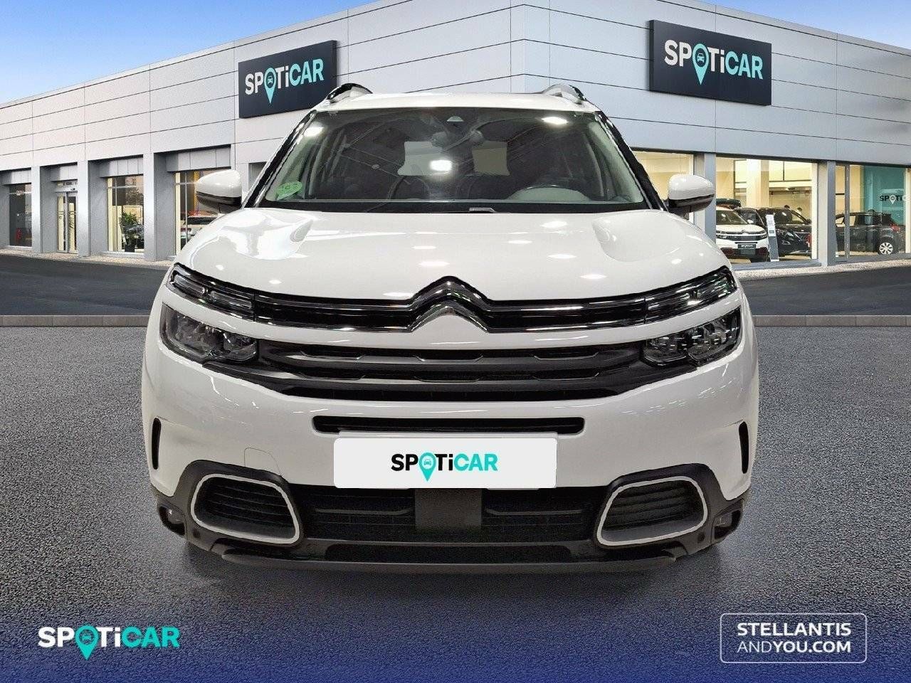 citroën c5 aircross 2020 / foto grande (2)