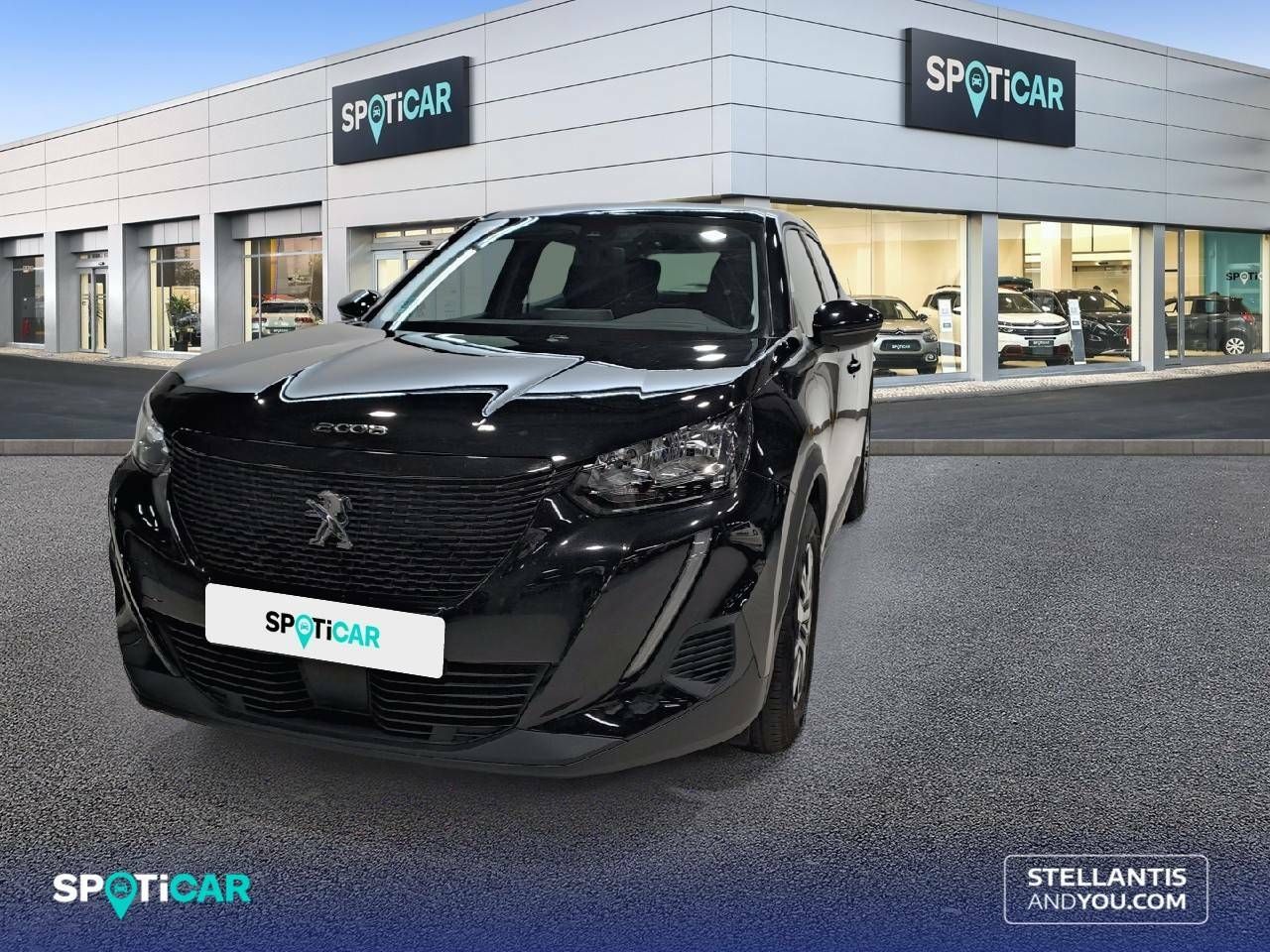 peugeot 2008 2021 /