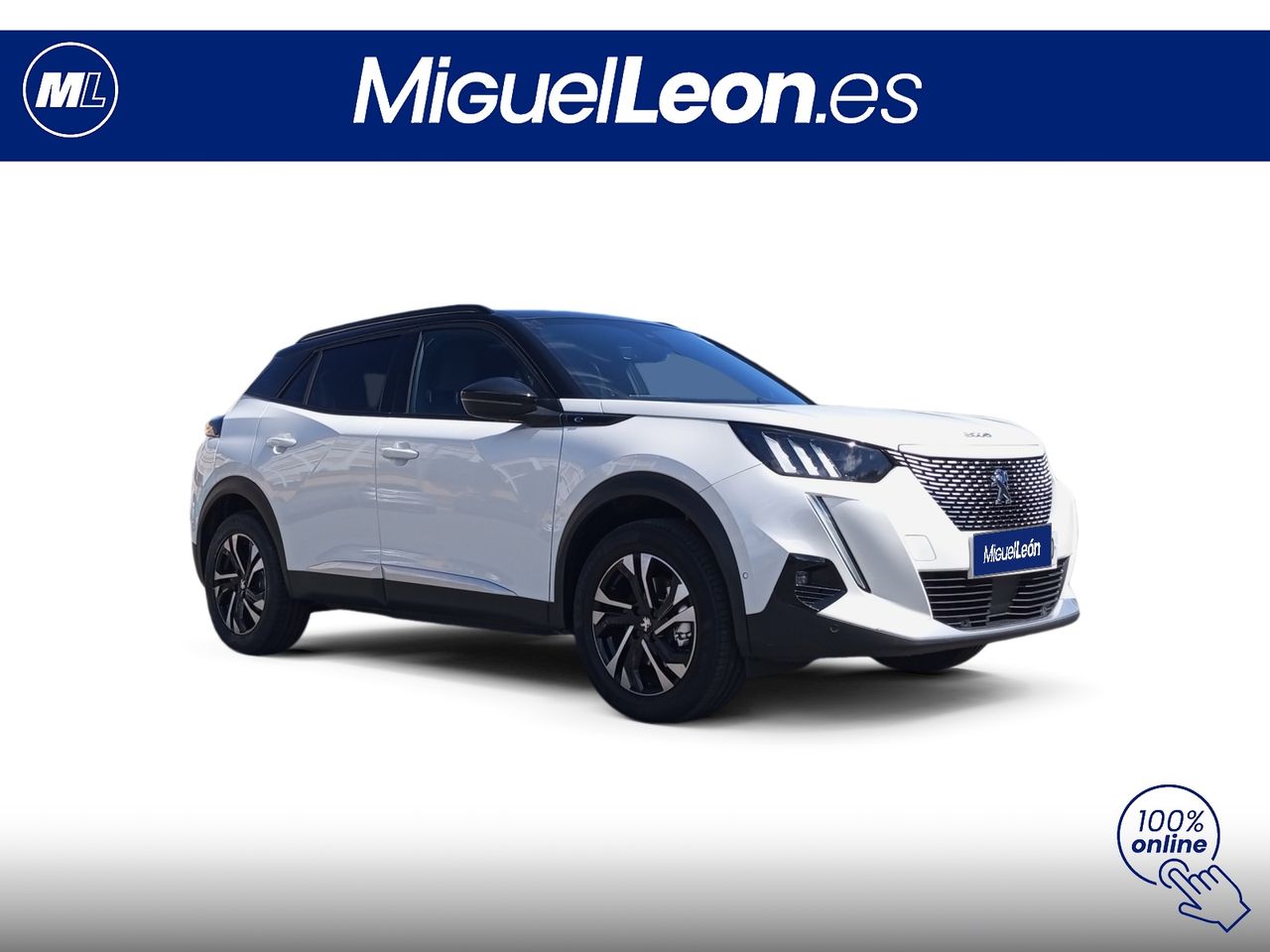 peugeot 2008 2021 / foto grande (3)