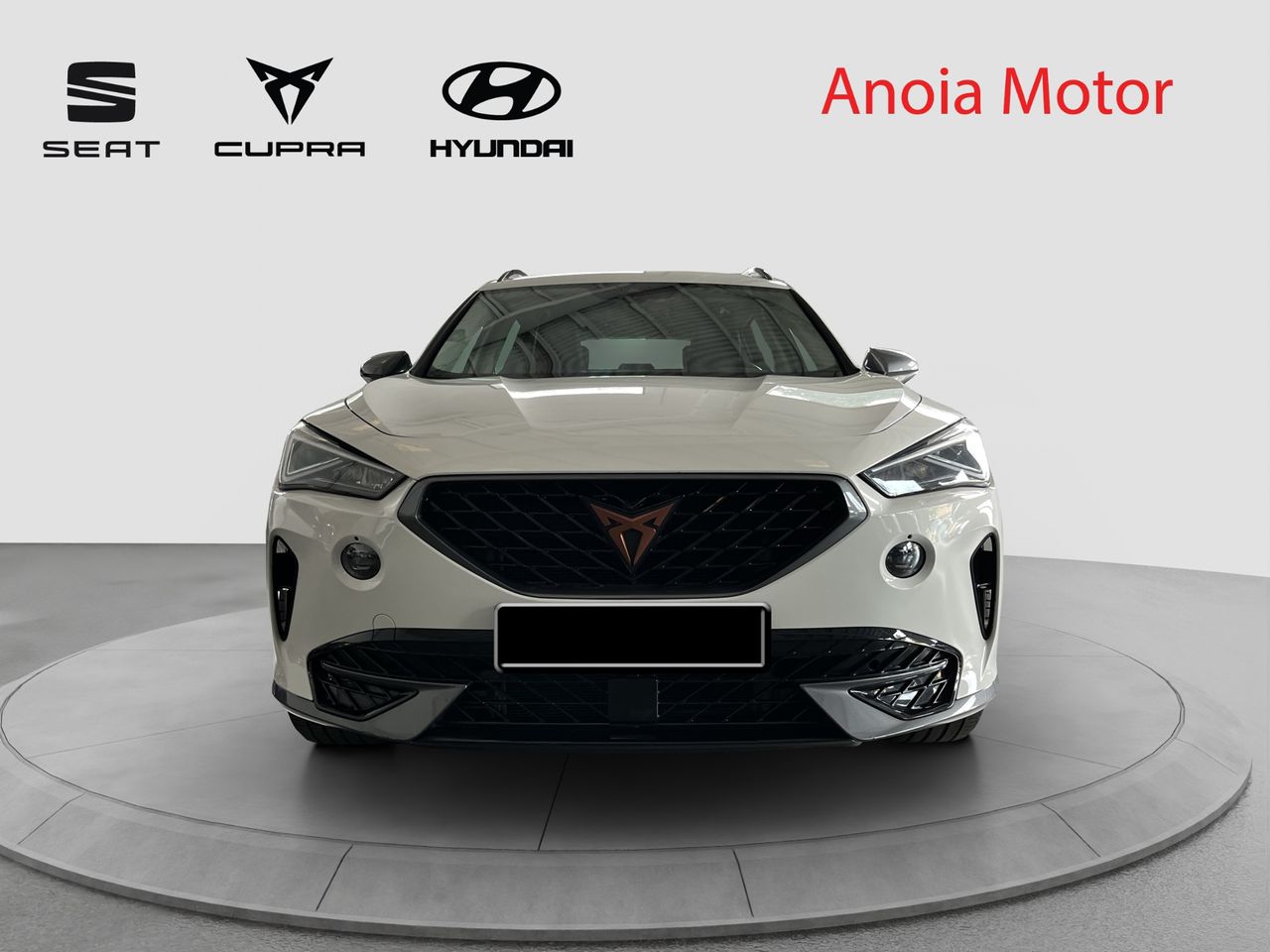cupra formentor 2022 / foto grande (2)