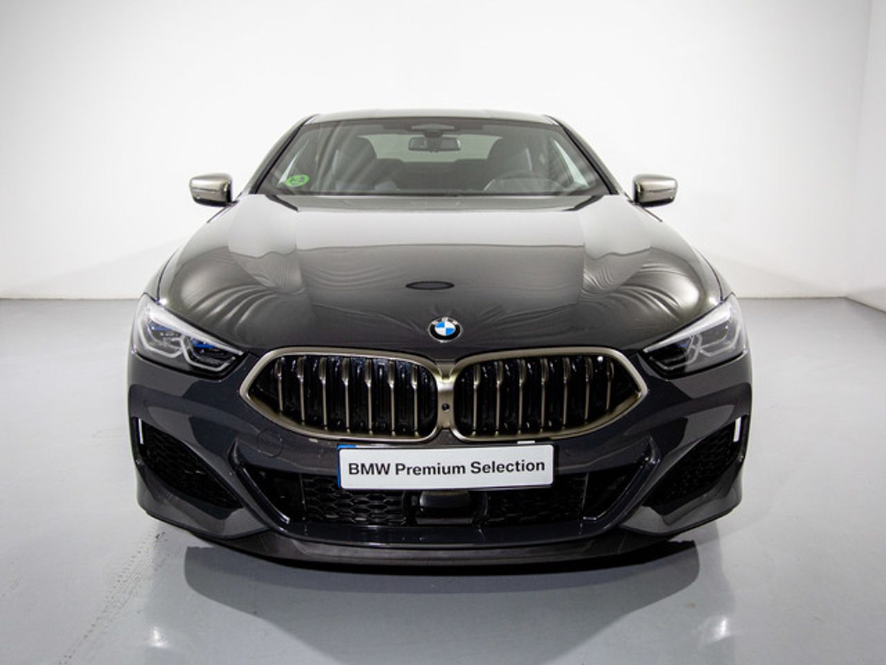 bmw serie 8 2019 / foto grande (2)