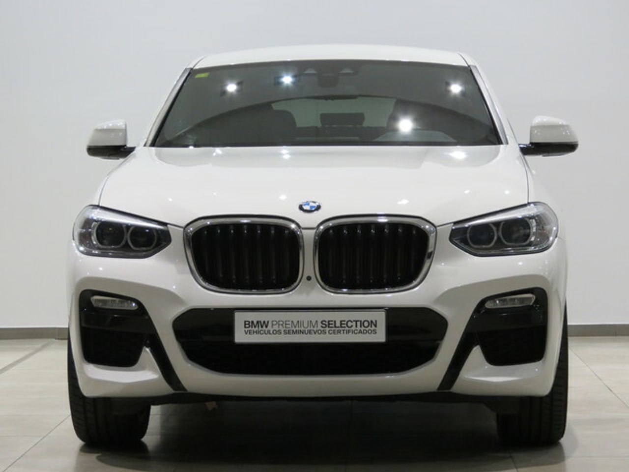 bmw x4 2019 / foto grande (2)