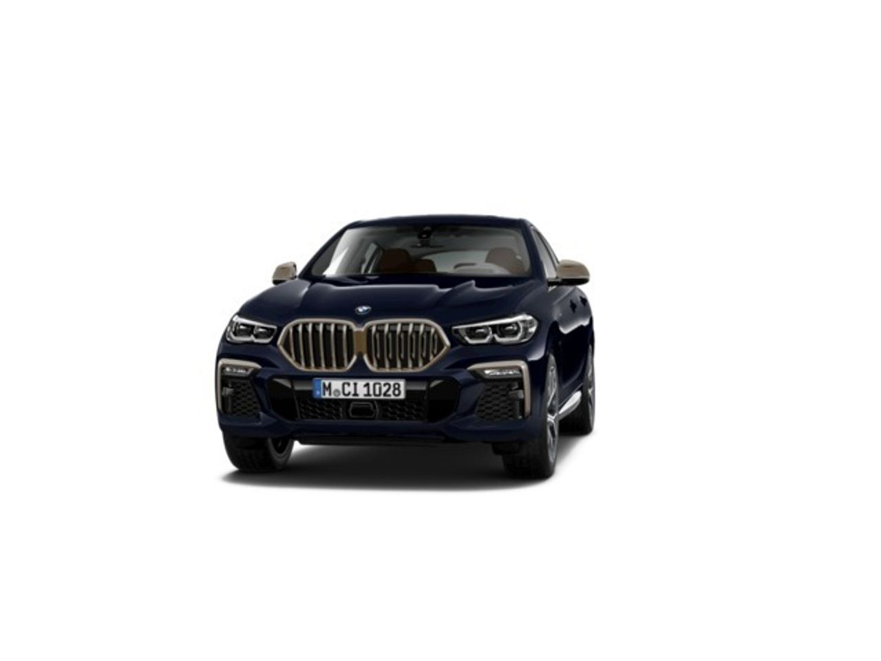bmw x6 2021 /