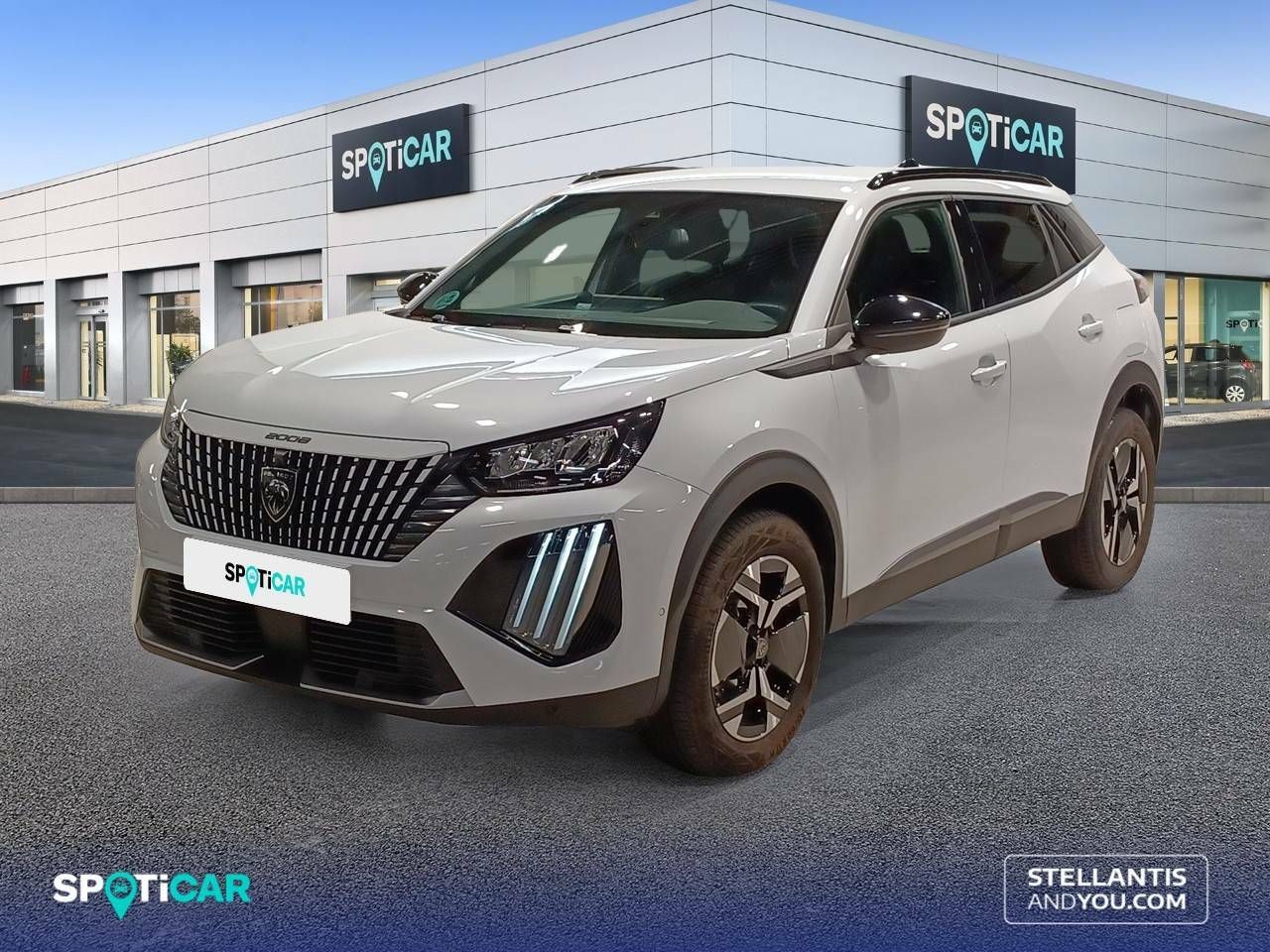 peugeot 2008 2024 /