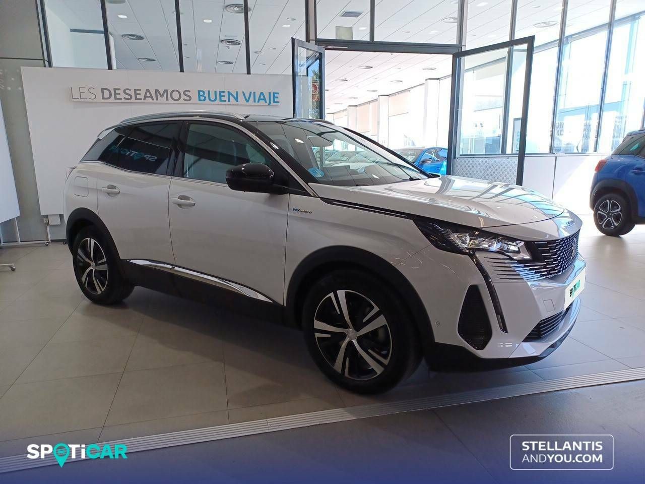 peugeot 3008 2023 / foto grande (3)