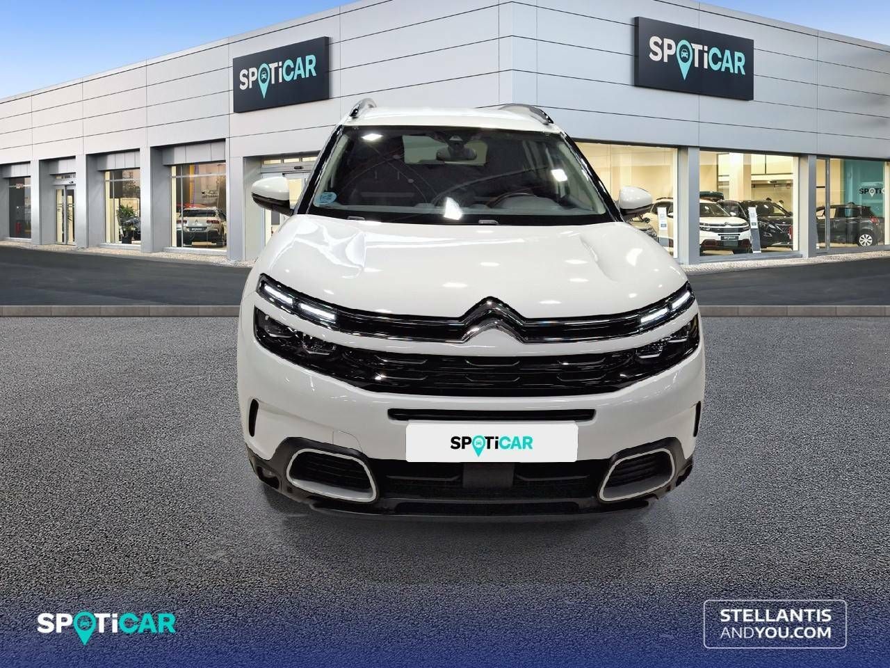 citroën c5 aircross 2022 / foto grande (2)
