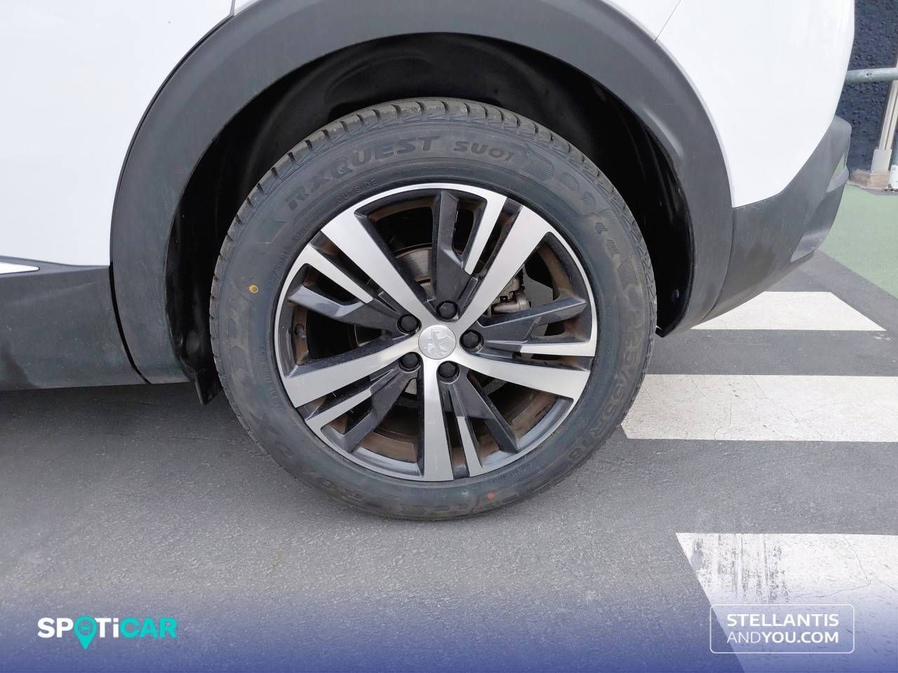 bg
