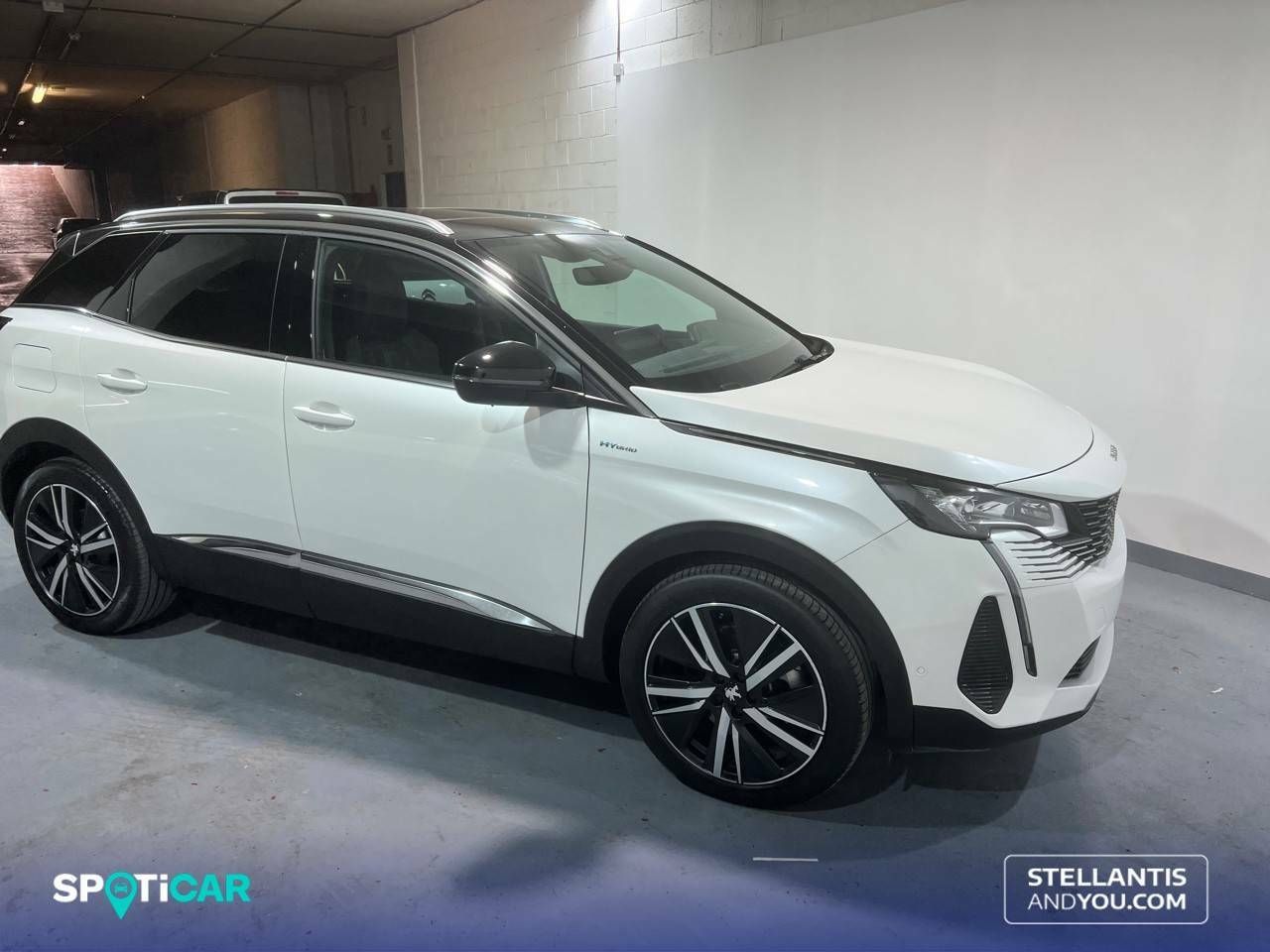 peugeot 3008 2023 / foto grande (3)