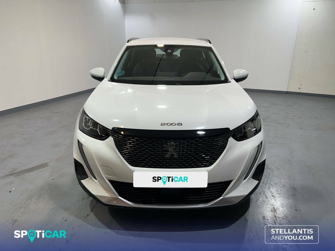 peugeot 2008 2020 / foto grande (2)