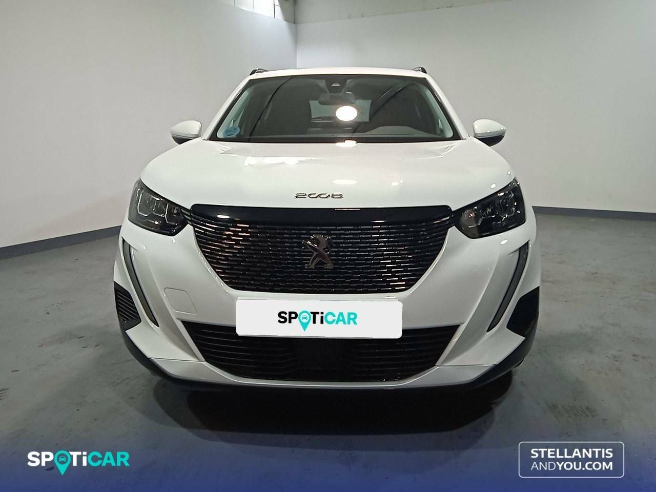 peugeot 2008 2021 / foto grande (2)
