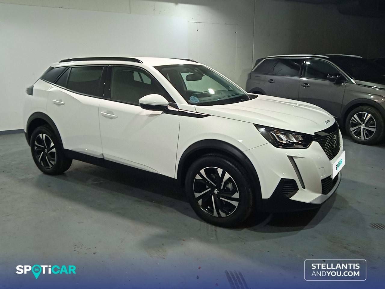 peugeot 2008 2021 / foto grande (3)