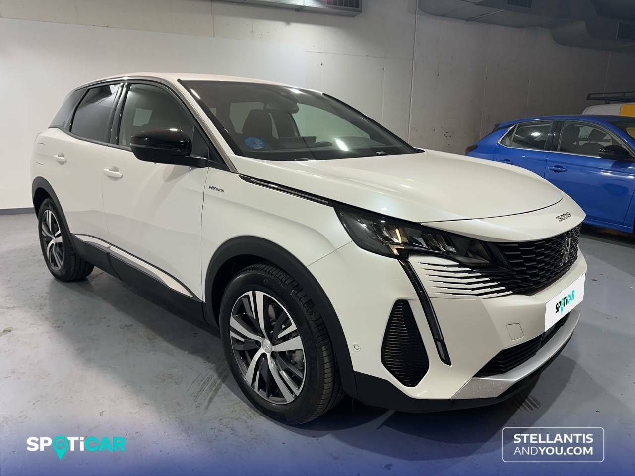 peugeot 3008 2023 / foto grande (3)