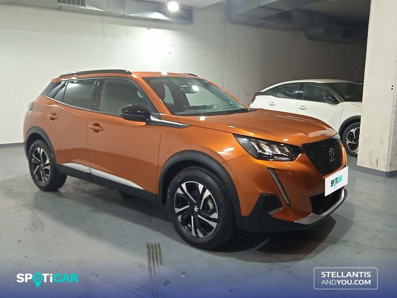peugeot 2008 2022 / foto grande (3)