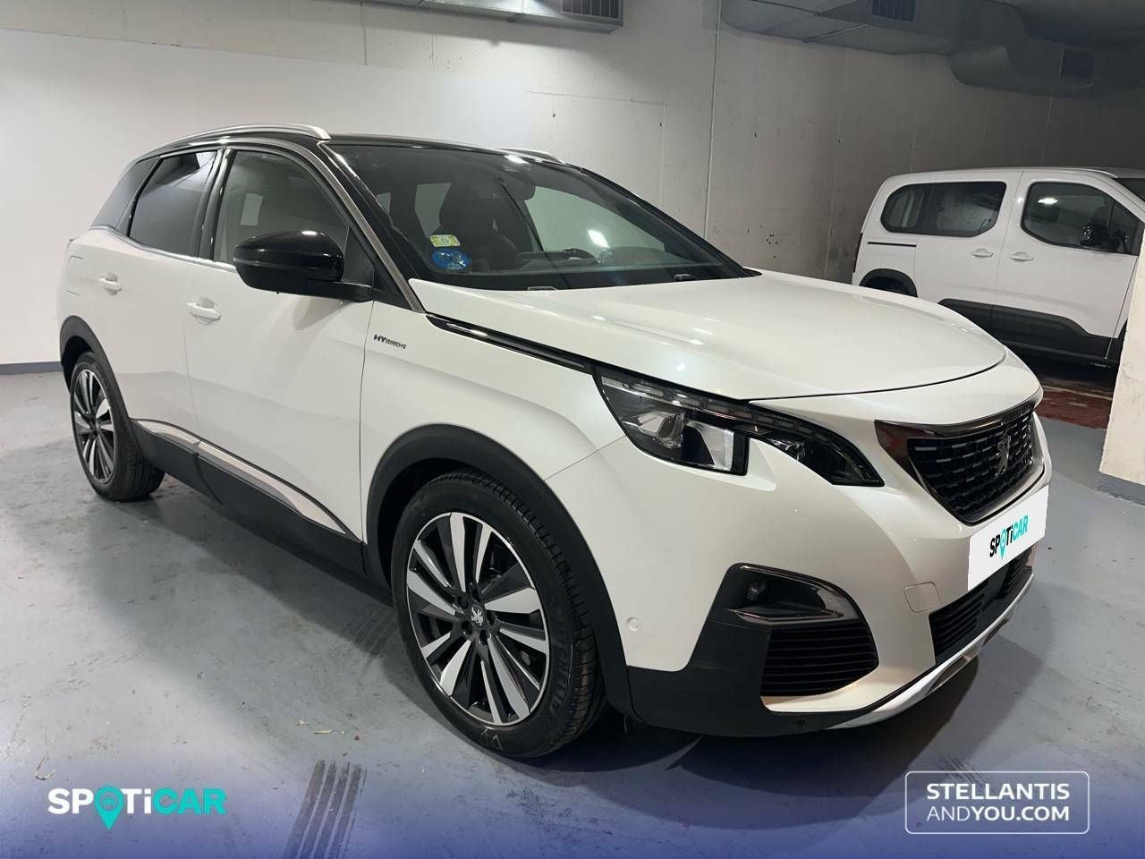 peugeot 3008 2020 / foto grande (3)