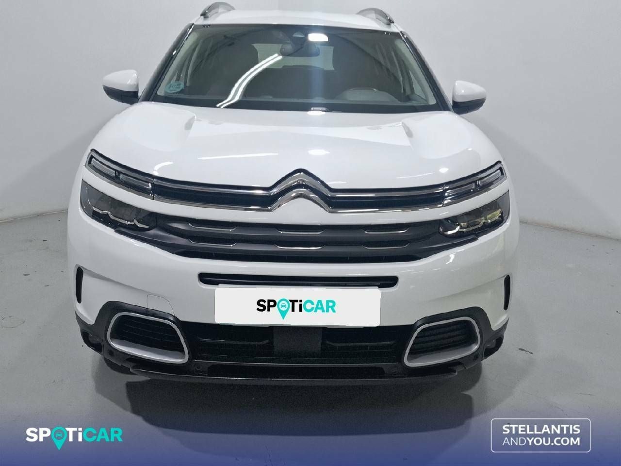 citroën c5 aircross 2021 / foto grande (2)