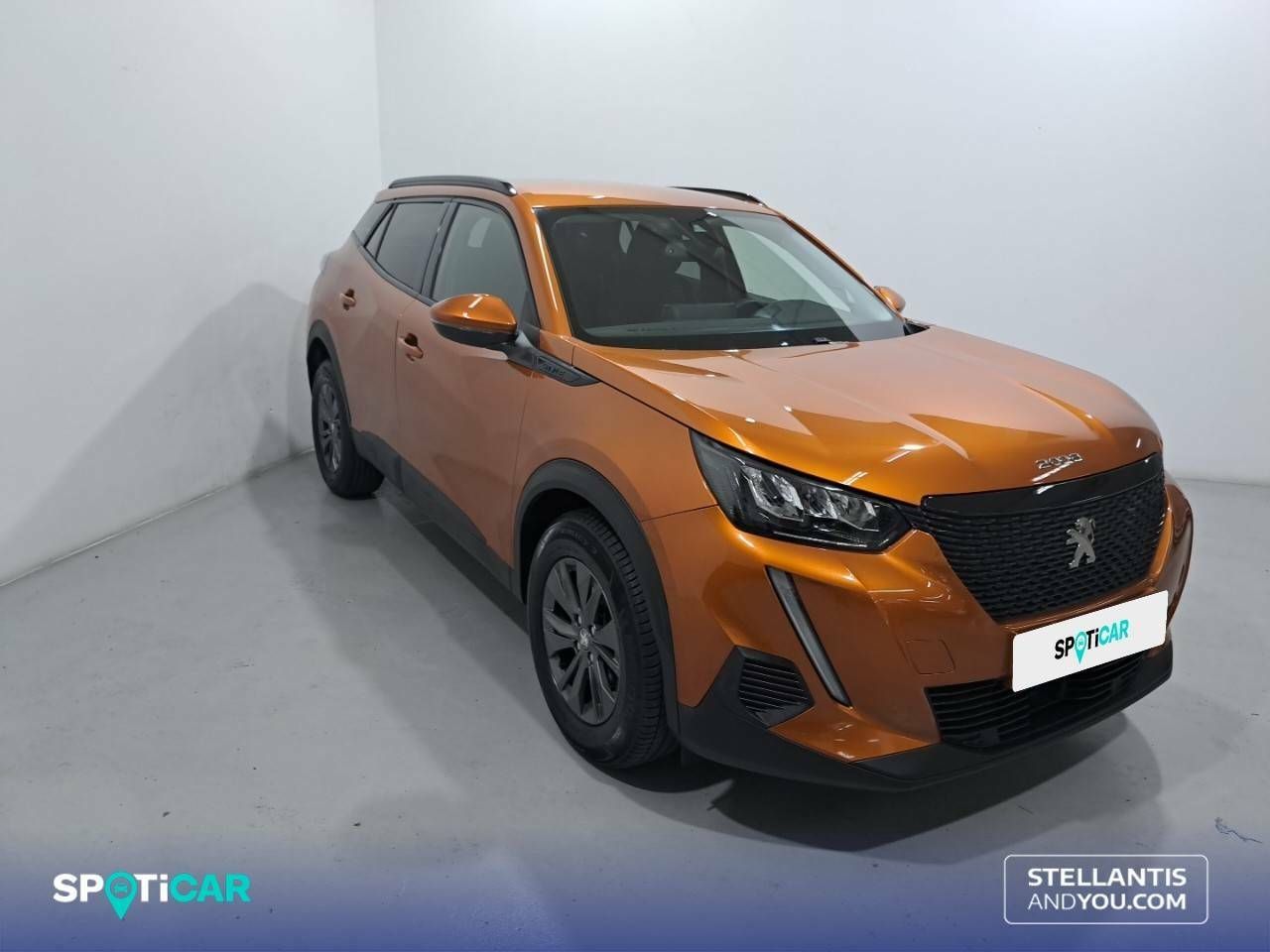 peugeot 2008 2021 / foto grande (3)
