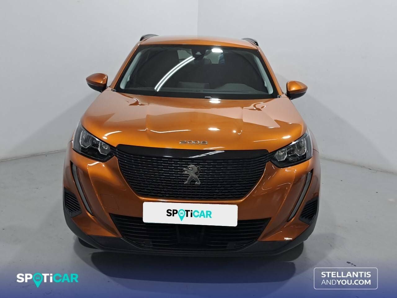 peugeot 2008 2021 / foto grande (2)