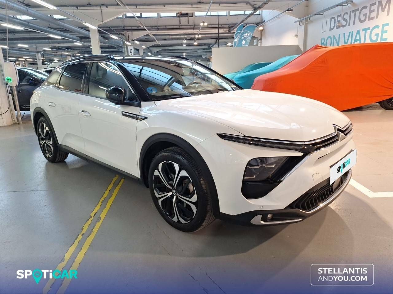 citroën c5 x 2024 / foto grande (3)