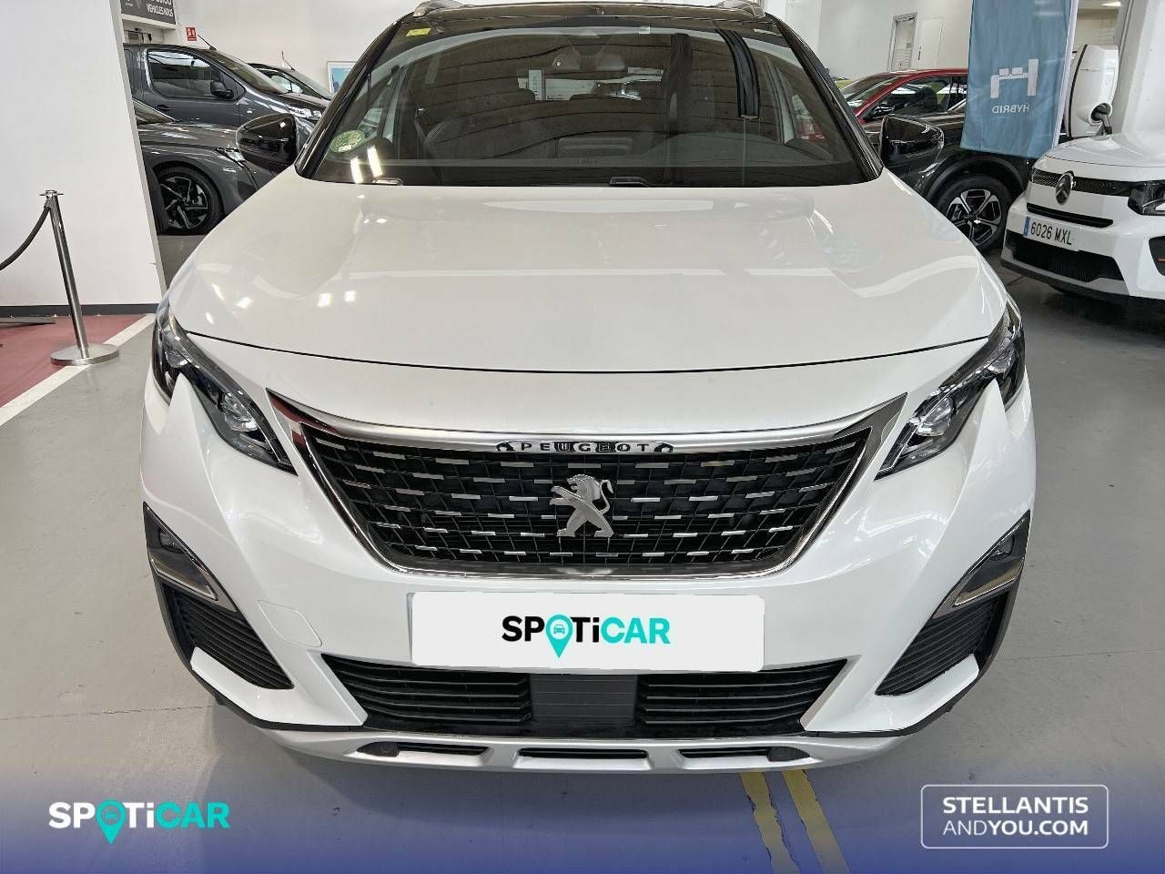 peugeot 3008 2017 / foto grande (2)