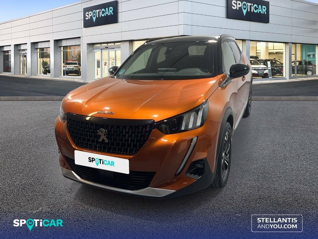 peugeot 2008 2021 /