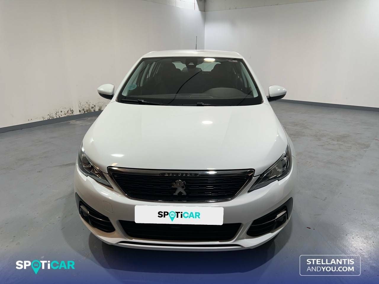 peugeot 308 2021 / foto grande (2)