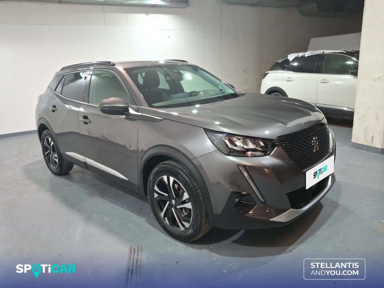 peugeot 2008 2021 / foto grande (3)