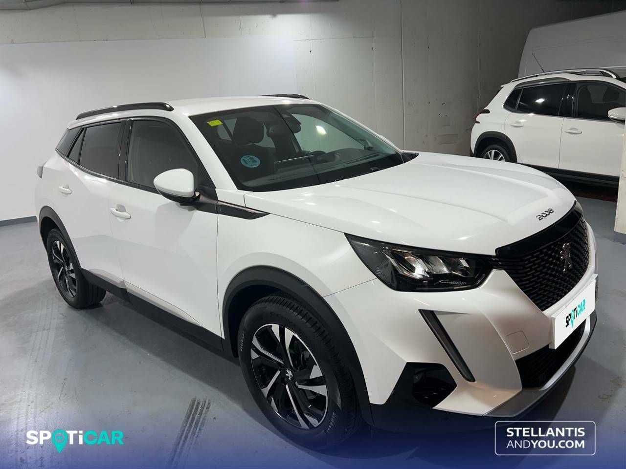 peugeot 2008 2020 / foto grande (3)