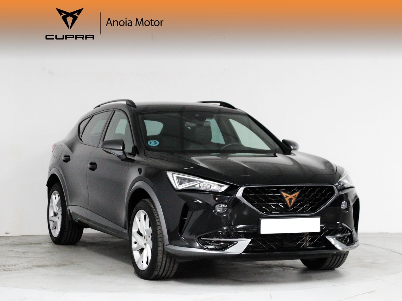 cupra formentor 2021 / foto grande (3)