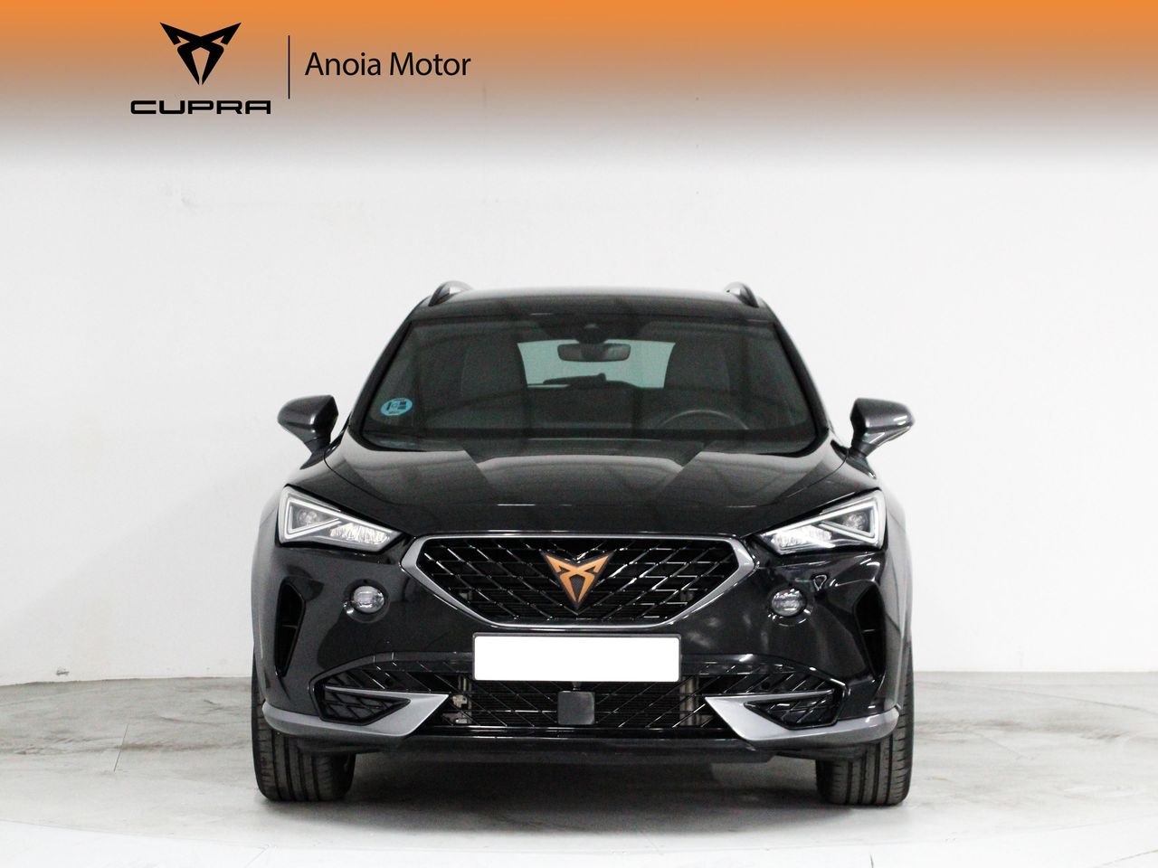 cupra formentor 2021 / foto grande (2)