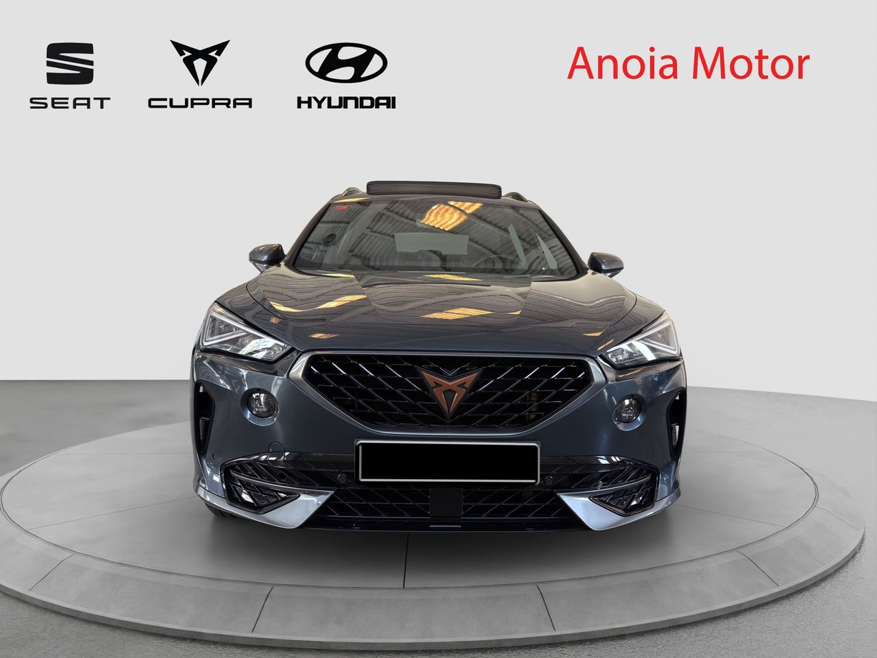 cupra formentor 2021 / foto grande (2)