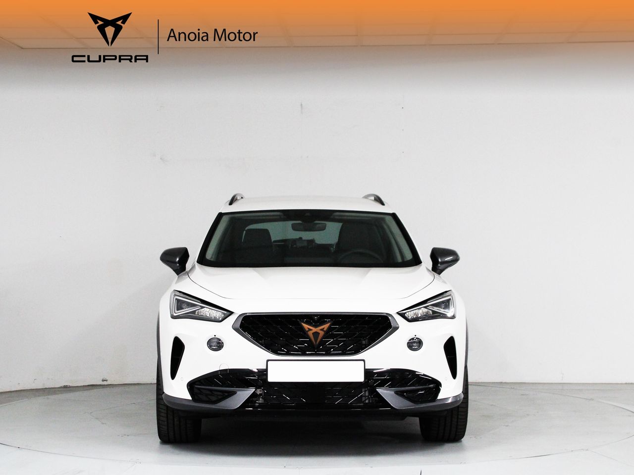 cupra formentor 2021 / foto grande (2)