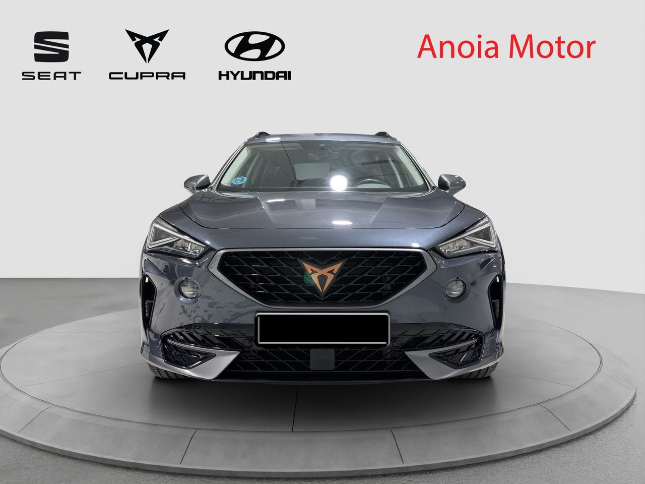 cupra formentor 2022 / foto grande (2)
