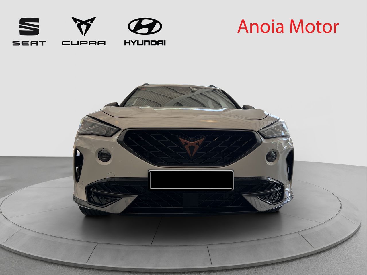 cupra formentor 2022 / foto grande (2)
