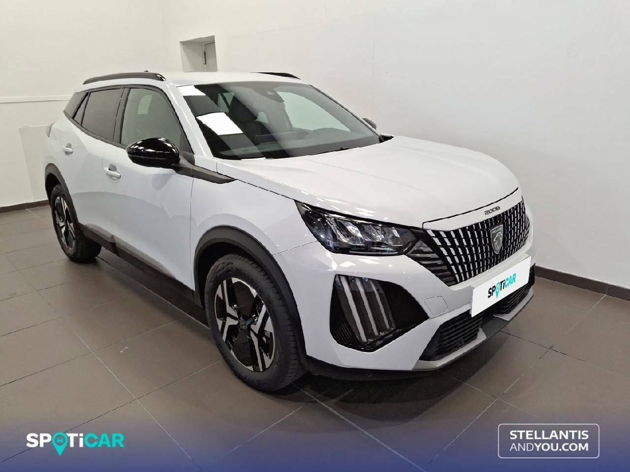 peugeot 2008 2023 / foto grande (3)