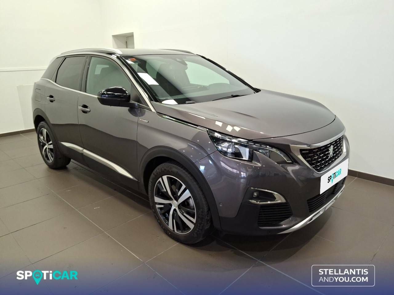 peugeot 3008 2019 / foto grande (3)