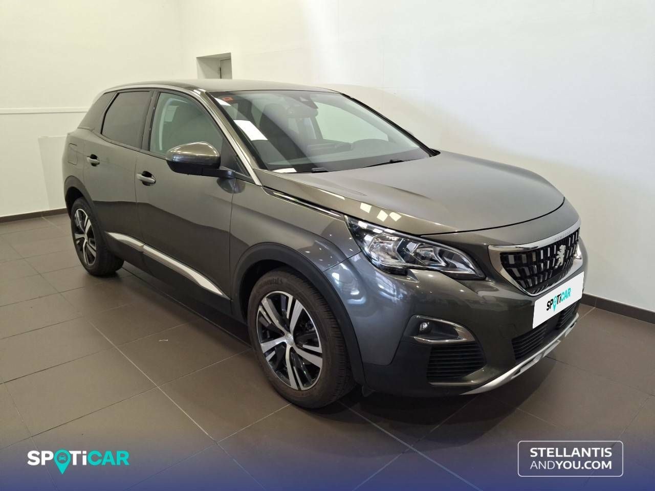 peugeot 3008 2019 / foto grande (3)